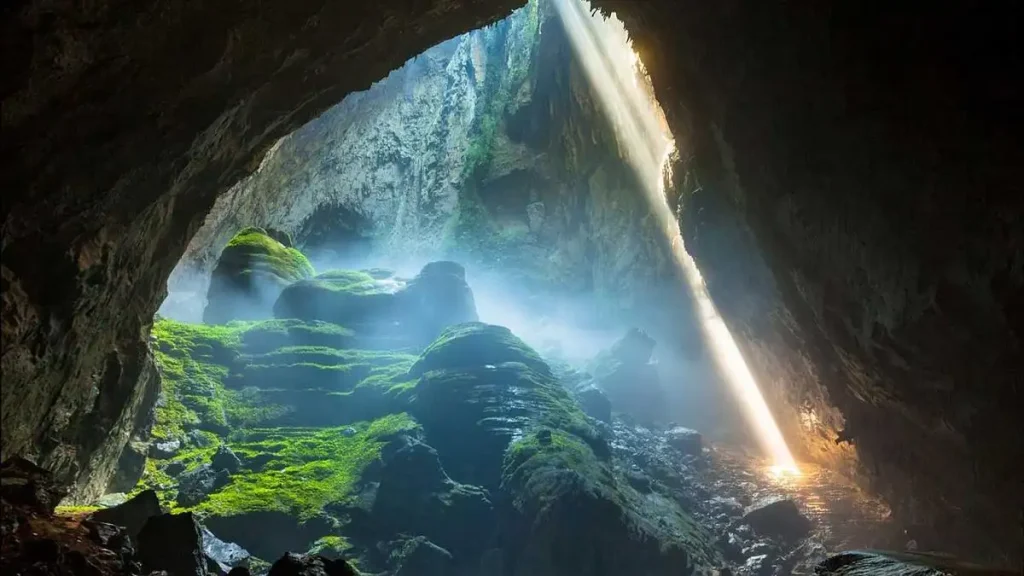 نمایی از گیاهان درون غار سون دونگ - son doong